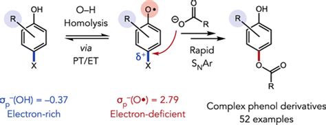 electron withdrawing groups|Radicals as Exceptional Electron.